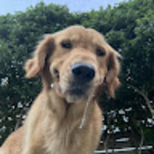 Meet your Posher, Ella